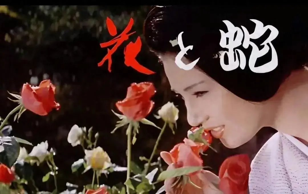 《花与蛇3：白衣绳奴》日本电影在线看 - 1080P高清画质无广告 - 完整版剧情片免费观看