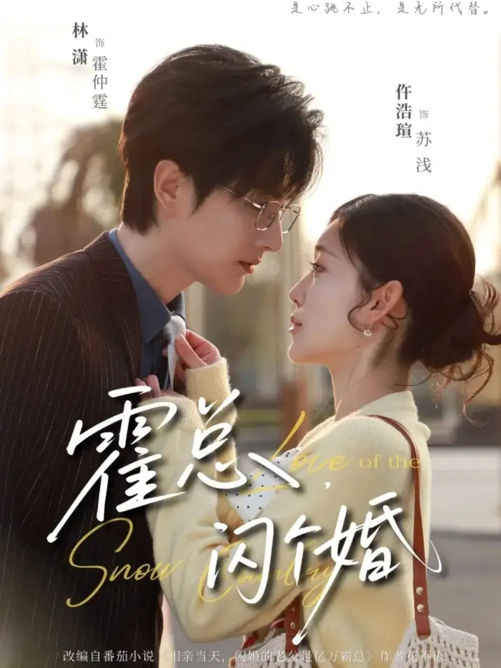 《霍总，闪个婚》短剧全86集-高清无删减完整版免费看-林潇仵浩碹主演霍总闪个婚在线播放资源