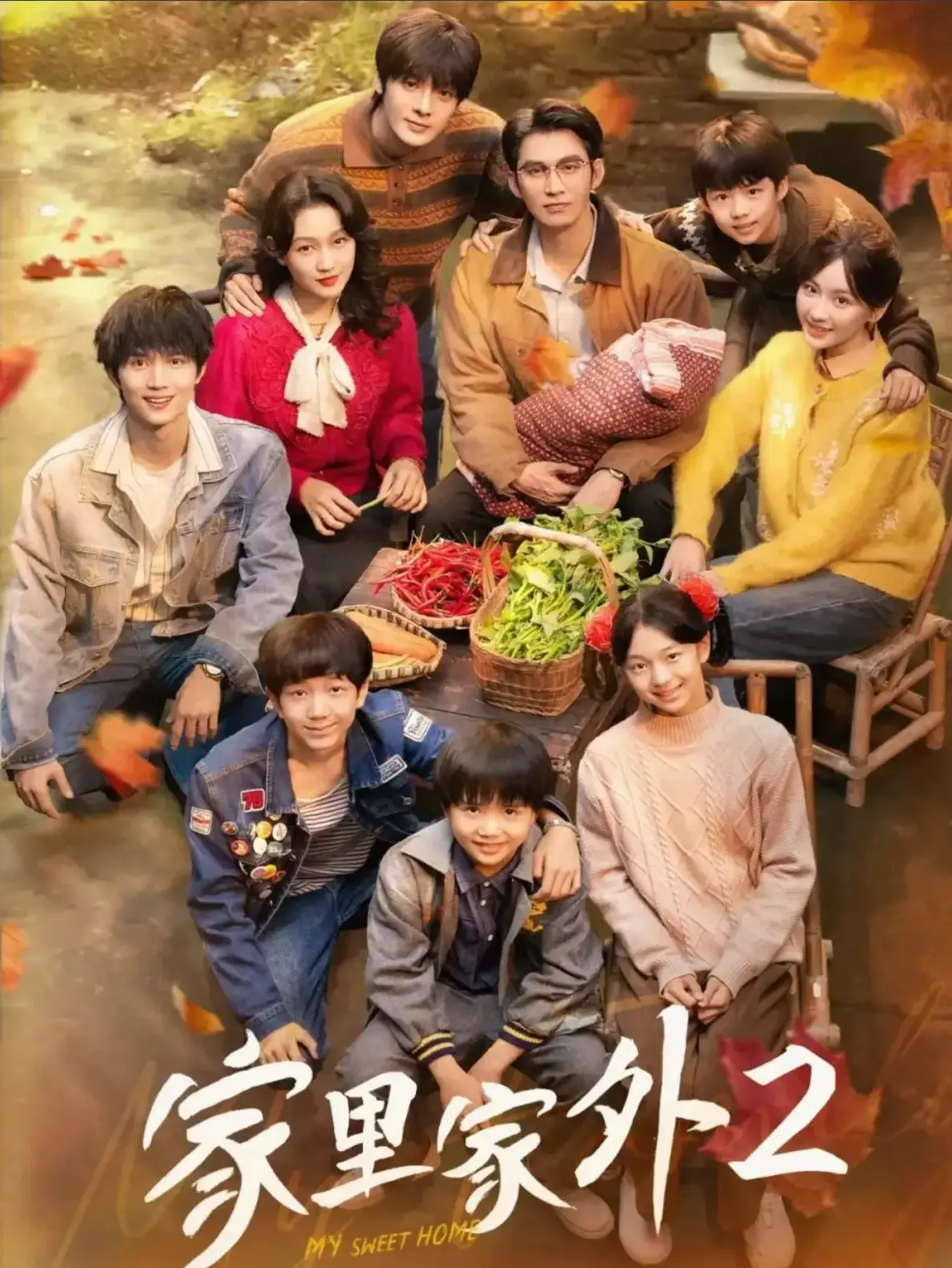 《家里家外2》全季无删减 - 国产短剧免费在线观看 - 大陆剧1080P高清资源