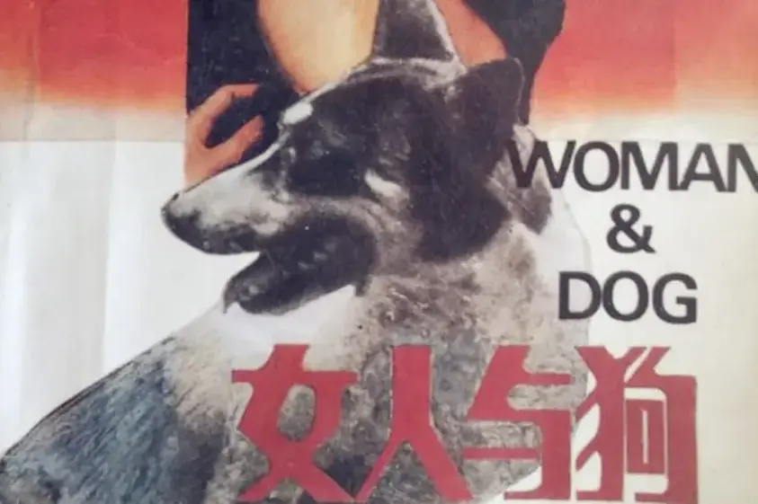 《女人与狗》全集高清免费观看-欧美剧情电影《女人与狗》HD 1080P蓝光在线播放-无删减无广告流畅观影体验