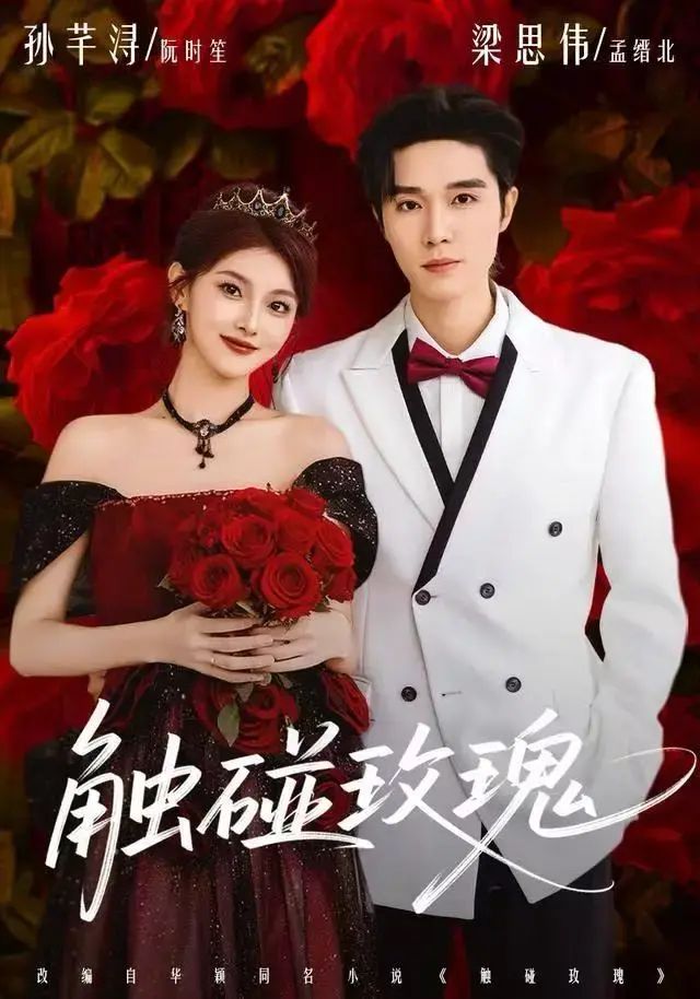 《触碰玫瑰》全集无删减版免费在线观看-2025最新4K超清中字完整版-高清HD资源百度云/夸克/迅雷多平台下载