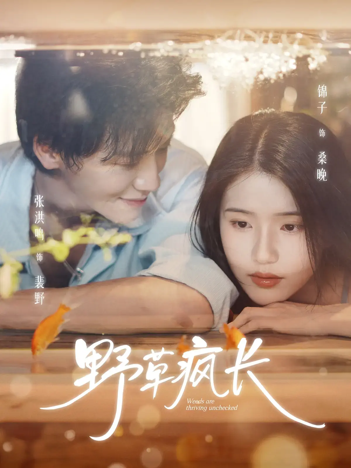 《野草疯长》全71集高清资源 - 新番短剧免费在线观看 - 无广告未删减版迅雷夸克网盘下载