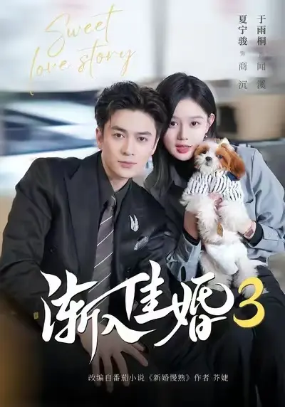 《渐入佳婚3》全集在线免费观看1080P高清-《渐入佳婚3》全集完整版无删减-无广告免费在线观看高清短剧-河马短剧全网同步更新