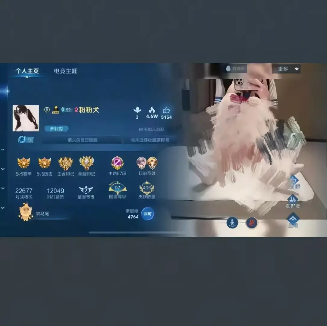 粉粉犬王者荣耀主页完整版 - 王者视频1080P画质 - 皮肤和国标揭秘免费看