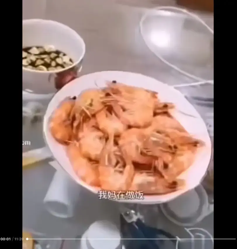 《大虾母子厨房完整版》高清视频-网盘资源免费在线看-猎奇视频揭开梗的神秘面纱-来龙去脉一看就明白