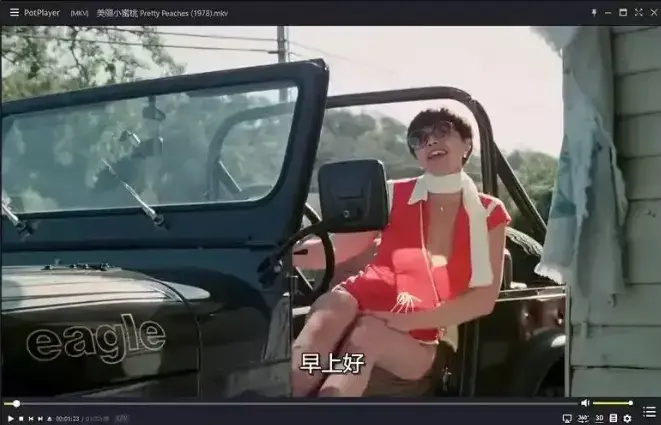 《美丽小蜜桃》未删减版高清中字在线看-1978年复古喜剧电影全集-《美丽小蜜桃》完整版免费观看