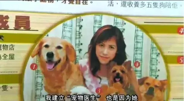 《女人与狗》HD高清完整版免费在线观看-欧美电影女人与狗1080P超清无删减播放-中文字幕支持手机电脑流畅观影