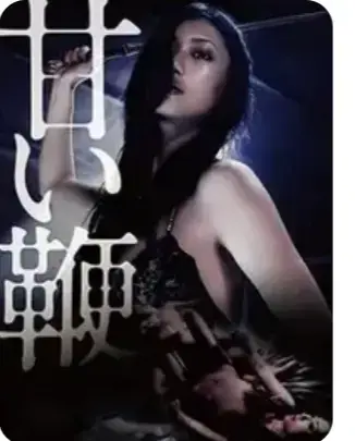 《甜蜜皮鞭》相关资源图片