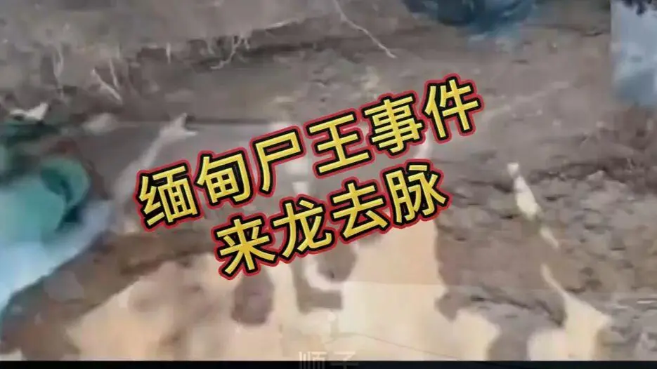 《缅甸僵尸出土事件视频》完整版在线观看-免费播放无广告-缅北僵尸出土事件原视频高清下载